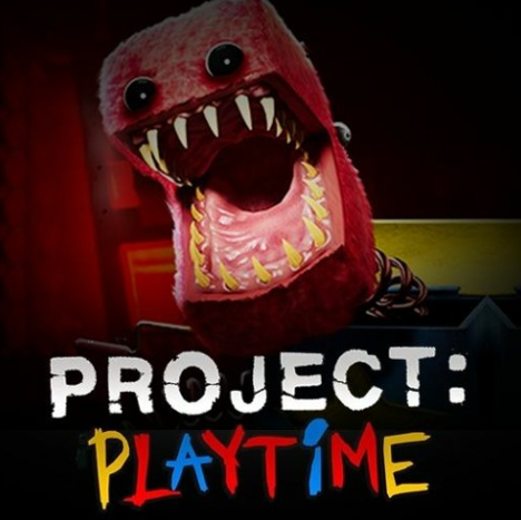 Project Multiplayer: Playtime